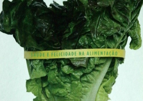 manifesto-de-um-consumidor